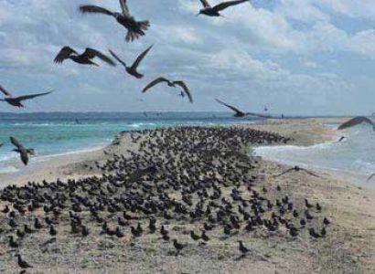 Ile St Marie Dreaming Tour