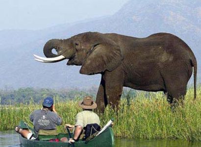 Okavango, Victoria Falls and Zimbabwe Safari Tour