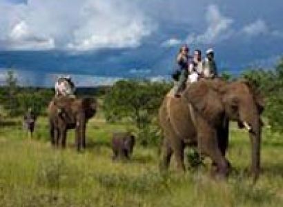 Sanctuary in Zambia and Botswana Tour