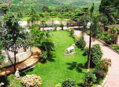 Monsoon Trek to Bhimashankar via Shidi Ghat Tour