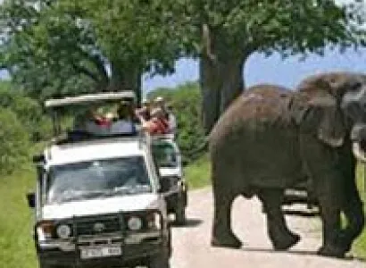 Tanzania-5 Days Experience Tour