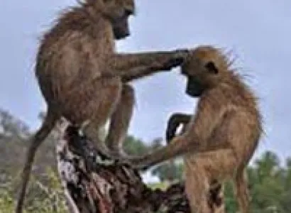 5 Days Experience in Tanzania Tour