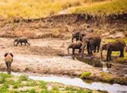 4 Days Experience in Tanzania Tour