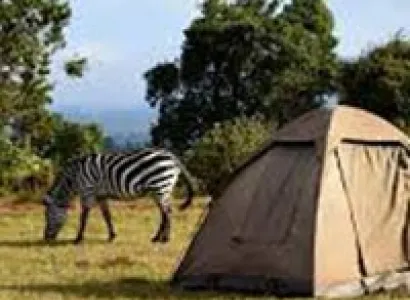 2 Days Trip to Lake Manyara National Park and the Ngorongoro Crater