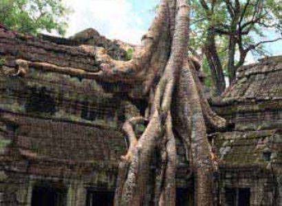 Around Cambodia Tours