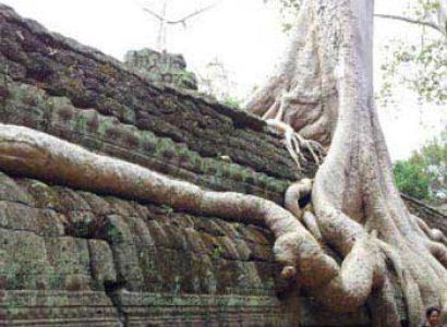 Cambodia - Thailand - Vietnam Tours