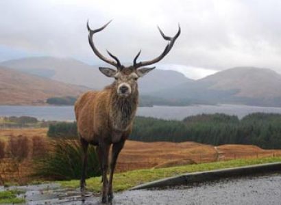 Outlander Location Tour 3 Days