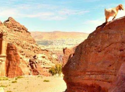 Petra Tour from Tel Aviv 2-Day Tour Package