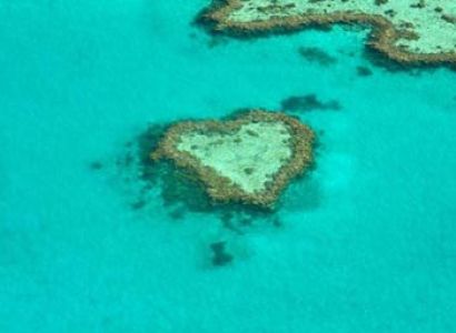 Naturally New Zealand with Sydney Tour