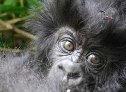 Kigali to Kigali Overland Tours