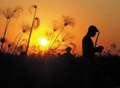 Victoria Falls to Maun Overland Tours