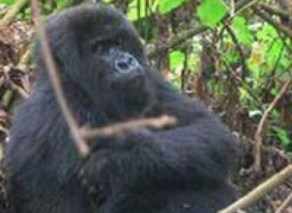 Kigali to Dar Es Salaam Overland Tours