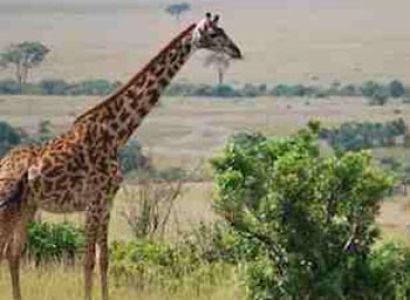 Nairobi to Dar Es Salaam Overland Tours