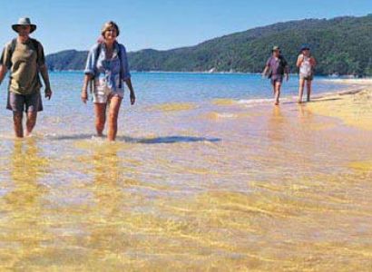 Highlights of New Zealand Tour Package