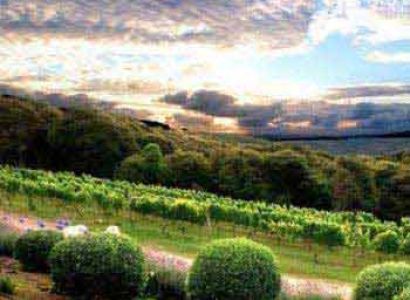 6 Night -Treasure Islands of Auckland, Luxury Cruise Package