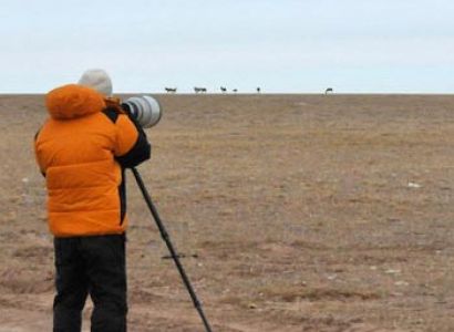 The Great Qinghai Wildlife Safari Tour