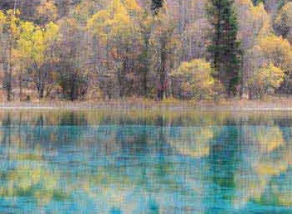 Western China  Wildlife Safari Tour