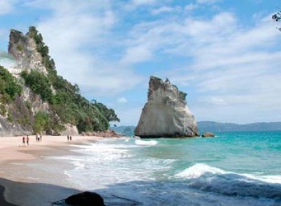 Coromandel Day Tour