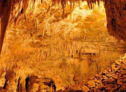 Waitomo Caves Day Tour