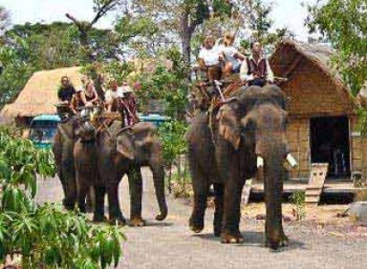 Vietnam Highland Discover Package