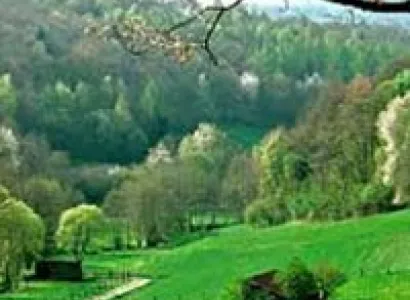 The Heart of Germany Tour