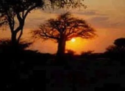 Night Game Drive Package