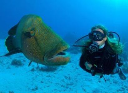 Scuba Diving in North Bay Island Tour Image