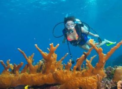 7 Days Andaman Honeymoon Package Image