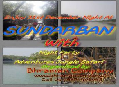 New Year Celebration Party At Sundarban