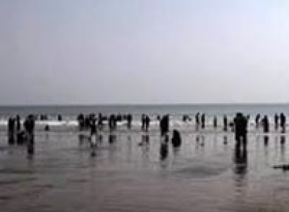 Kolkata Sundarban Tour With Digha