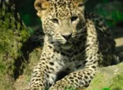 Sri Lanka & Maldives Tour