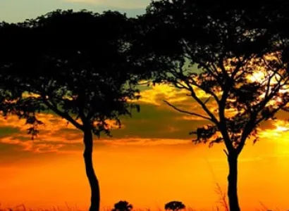 Uganda Express Safari Tour