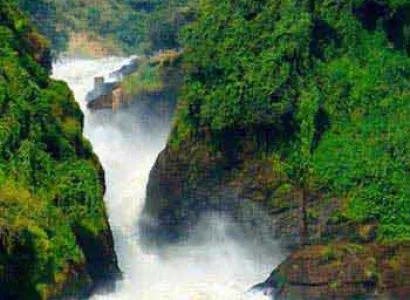 Uganda Highlight Safari Tour