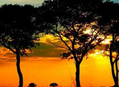 Uganda Trekking Bike Safari Tour Image