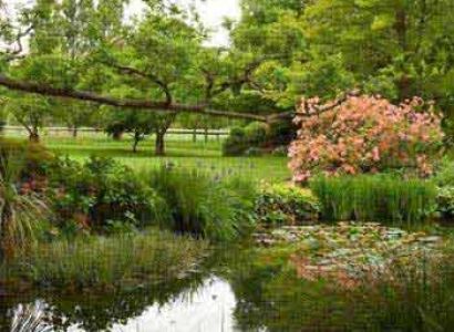 Rhododendron Gardens Tour