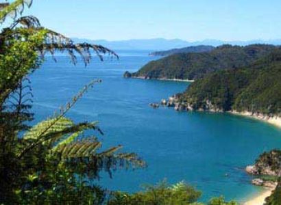 Top of the West & Golden Bay Tour