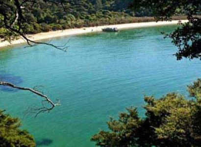 Superb South Island – Economy Coach Tour