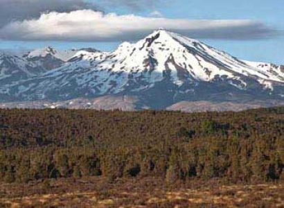 Volcanoes & Rainforest Tour