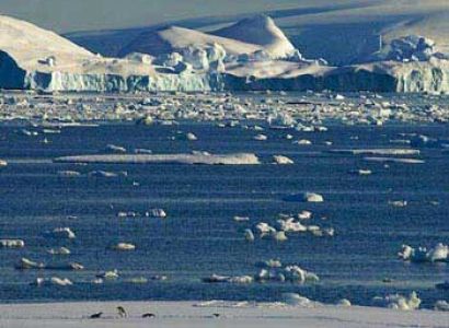 Galapagos of the Southern Ocean Tour