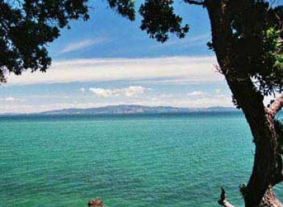 All Around Nz Honeymoon Tour