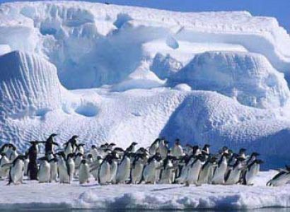 In the Wake of Scott and Shackleton Tour