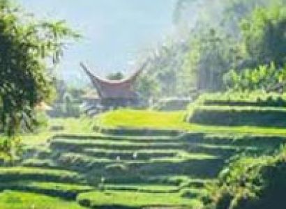 Toraja Culture and Nature Tour
