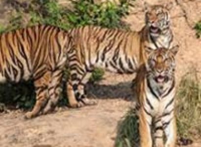 Rajasthan Cycling Tour