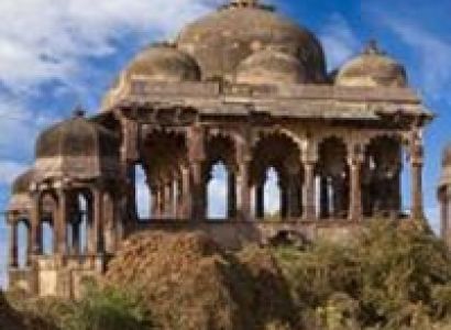 Birds, Lions and Tigers Tour