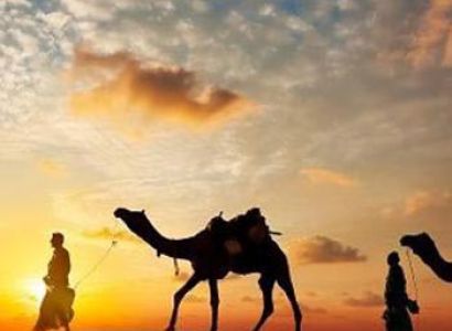 Best of Rajasthan Tour