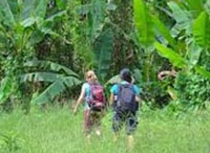 Mae Hong Son 3 Day Trekking Adventure tour