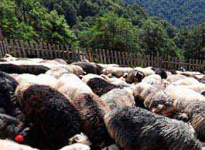 Ukraine Experience Tour