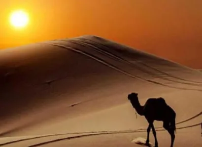 All Inclusive Morocco Desert Tour From Marrakesh