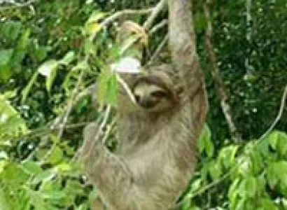 Isthmian Explorer Tour