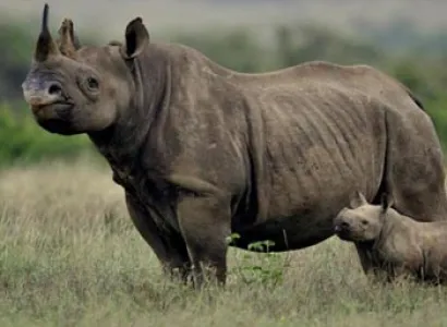 Masai Mara Safari Package